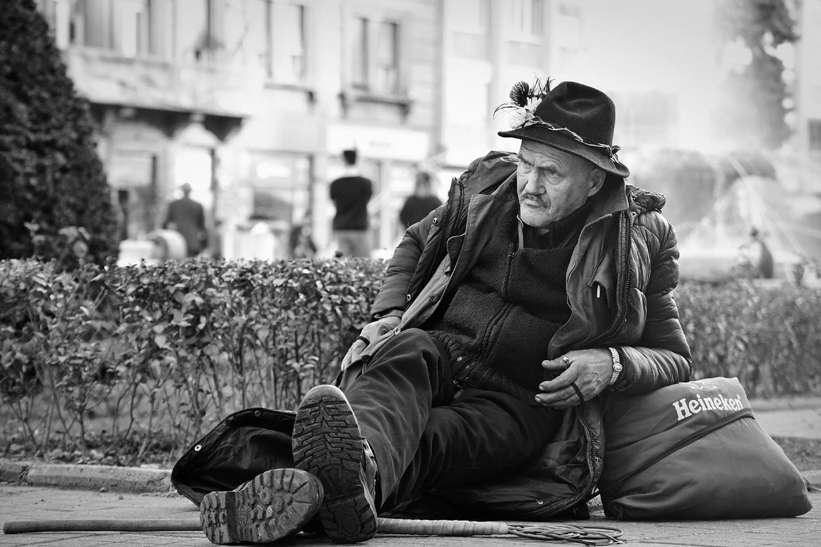 the look - Ioachim Damian