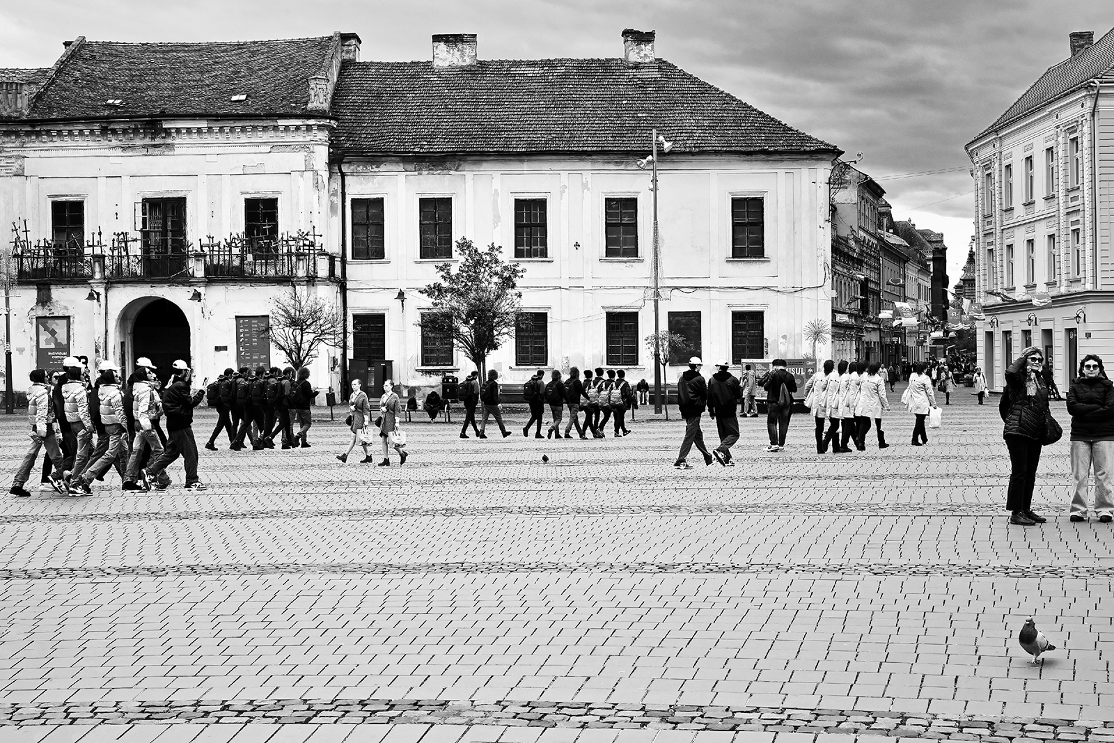 walking - Ioachim Damian