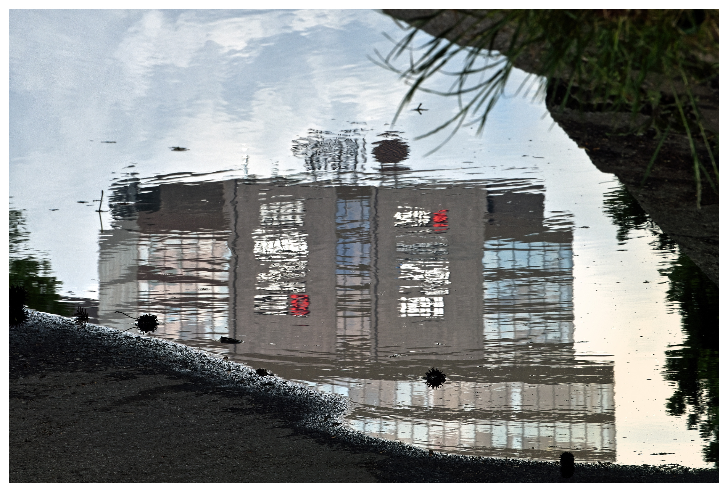 reflexie #39 - Ioachim Damian