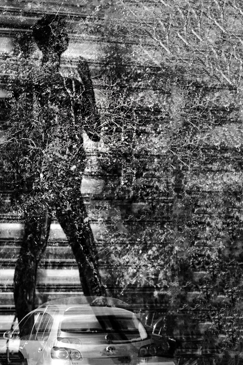 experiment #01 - Ioachim Damian