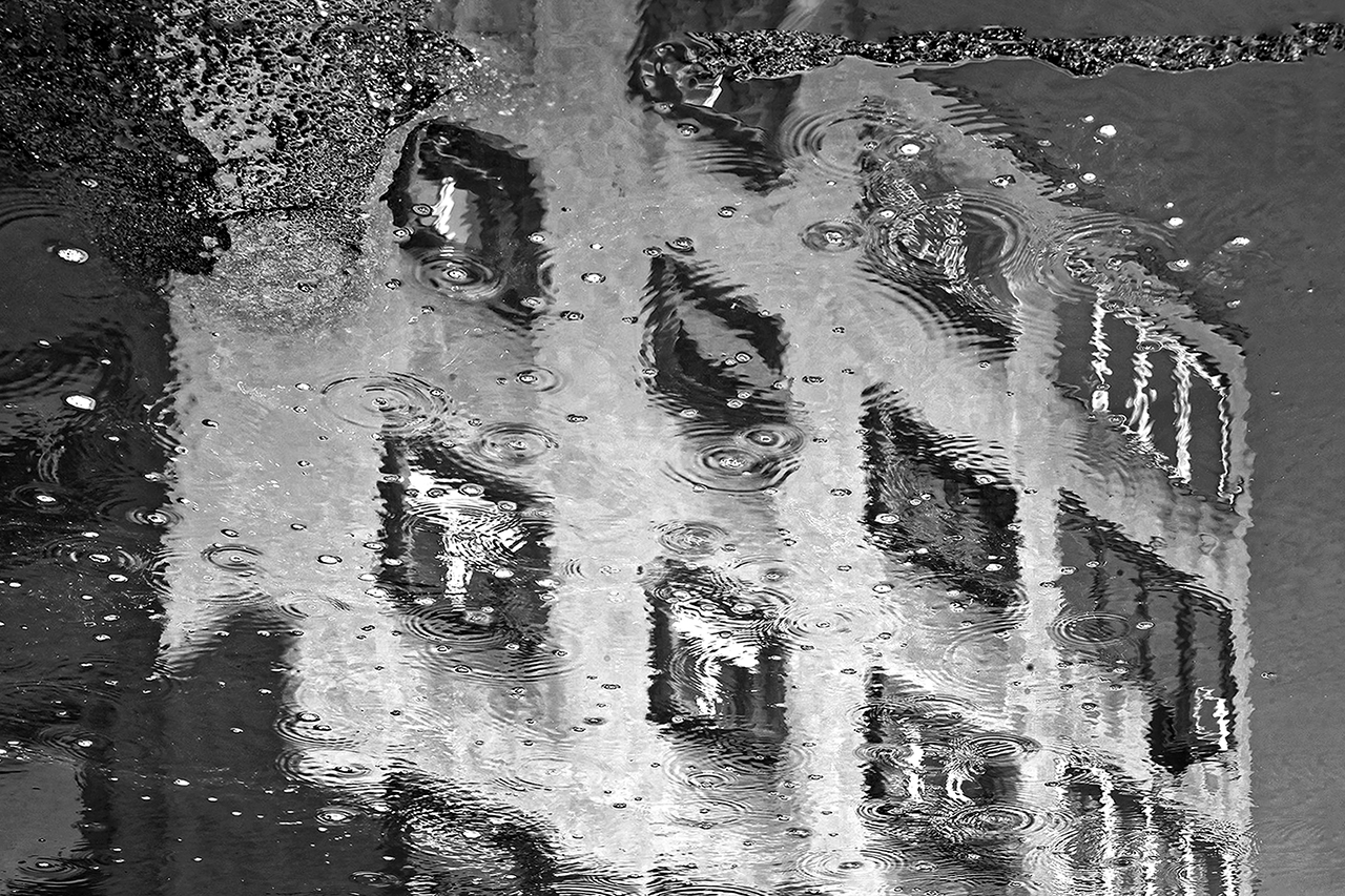 reflexie #19 - Ioachim Damian