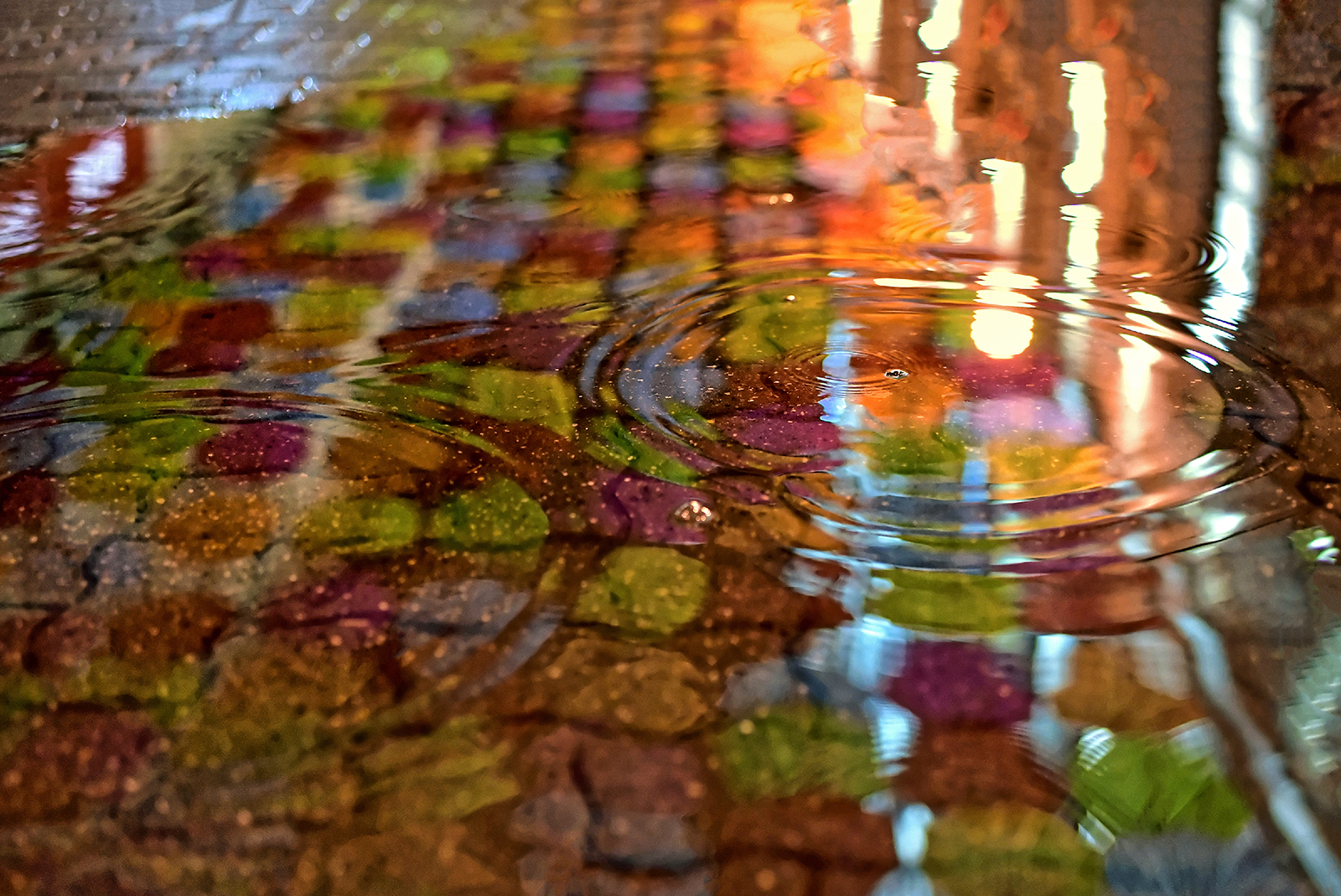 reflexie #07 - Ioachim Damian