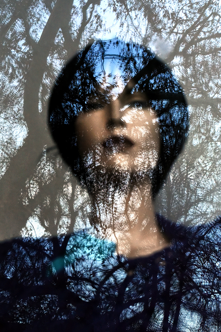 vitrina - Ioachim Damian